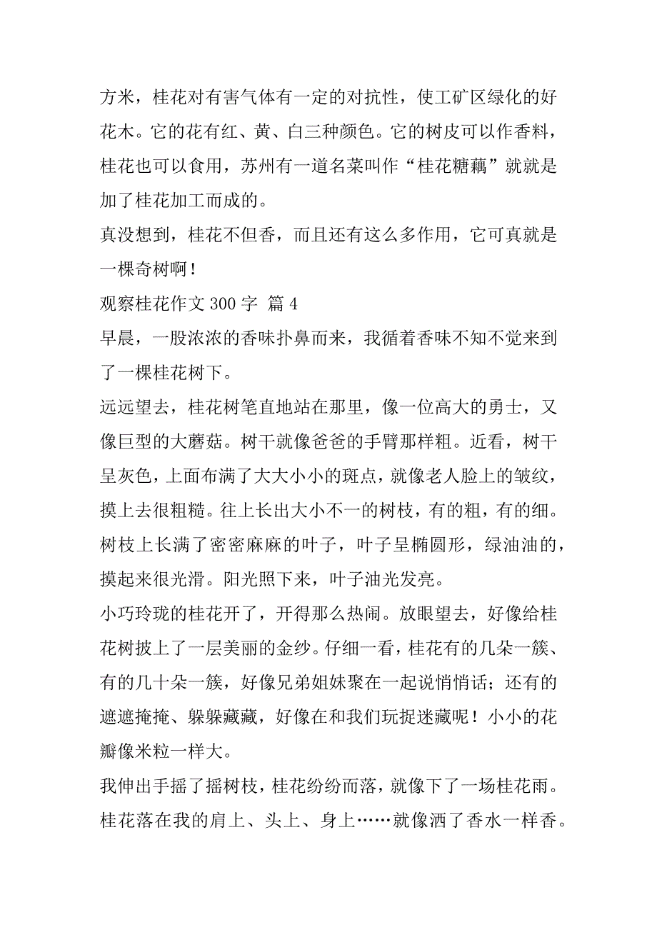 观察桂花作文300字集合八篇_第3页