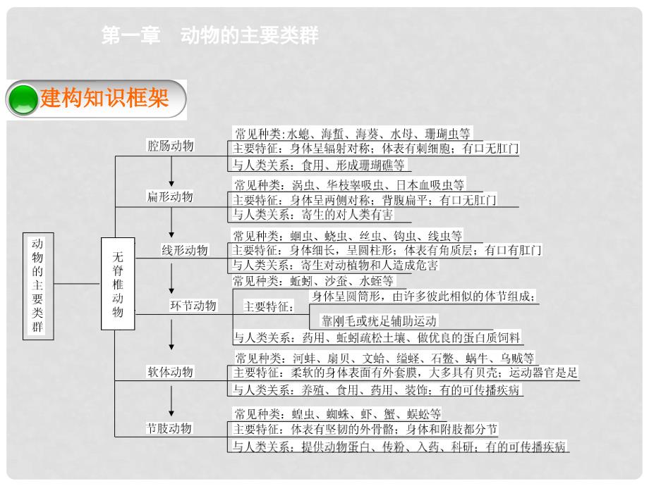 八年级生物上册 第五单元 第一章 动物的主要类群复习课件 （新版）新人教版_第2页