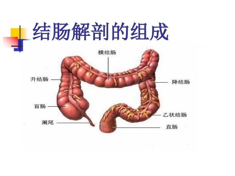 结直肠癌诊疗策略_第5页