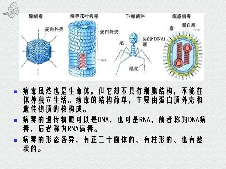 称为膜的不对称性化学与材料工程学院_第4页