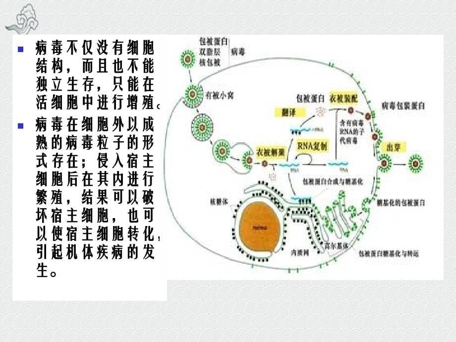 称为膜的不对称性化学与材料工程学院_第5页