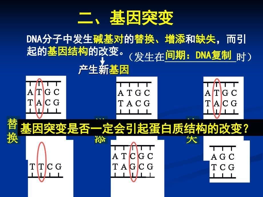 第4章第1节基因突变及应用_第5页