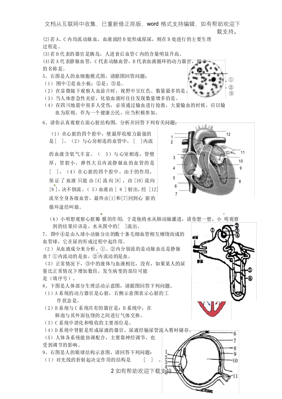 湖南省长沙市长郡麓山国际实验学校2020学年七年级生物下学期期末复习资料期末复习题填空卷_第2页