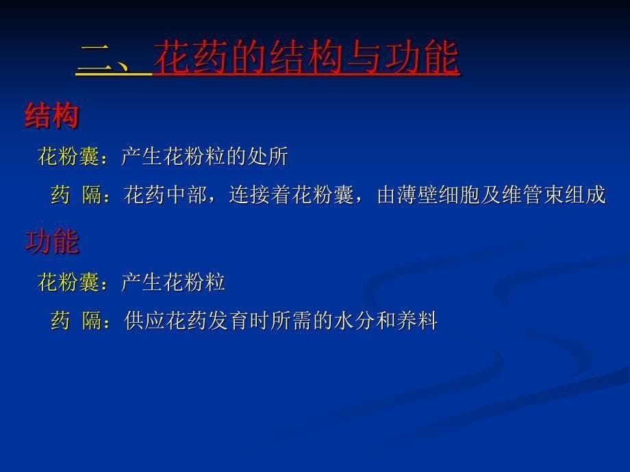 雄蕊的发育与结构花药的发育_第5页