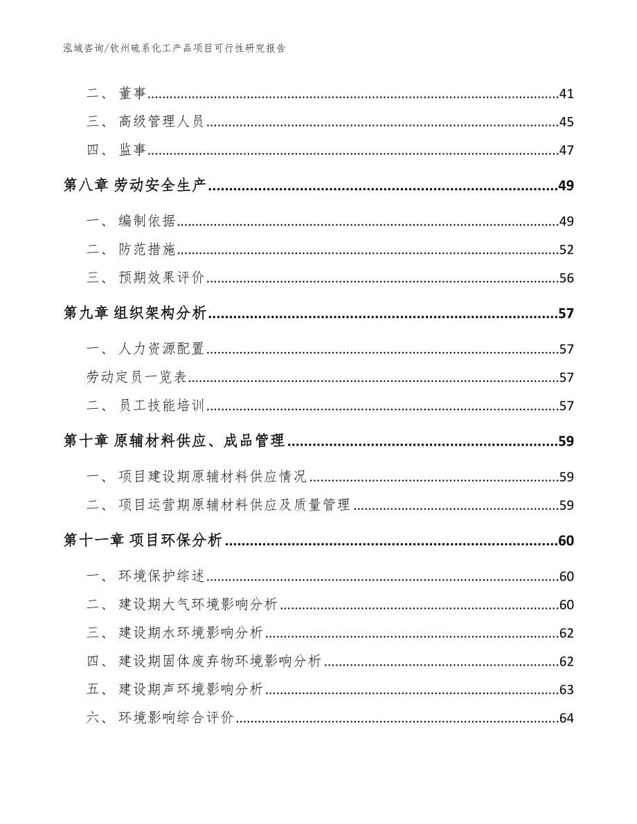 钦州硫系化工产品项目可行性研究报告_第5页