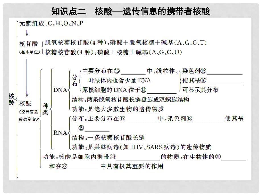 高考生物一轮复习 第一单元 第3讲生命活动的主要承担者课件 新人教版必修1_第5页