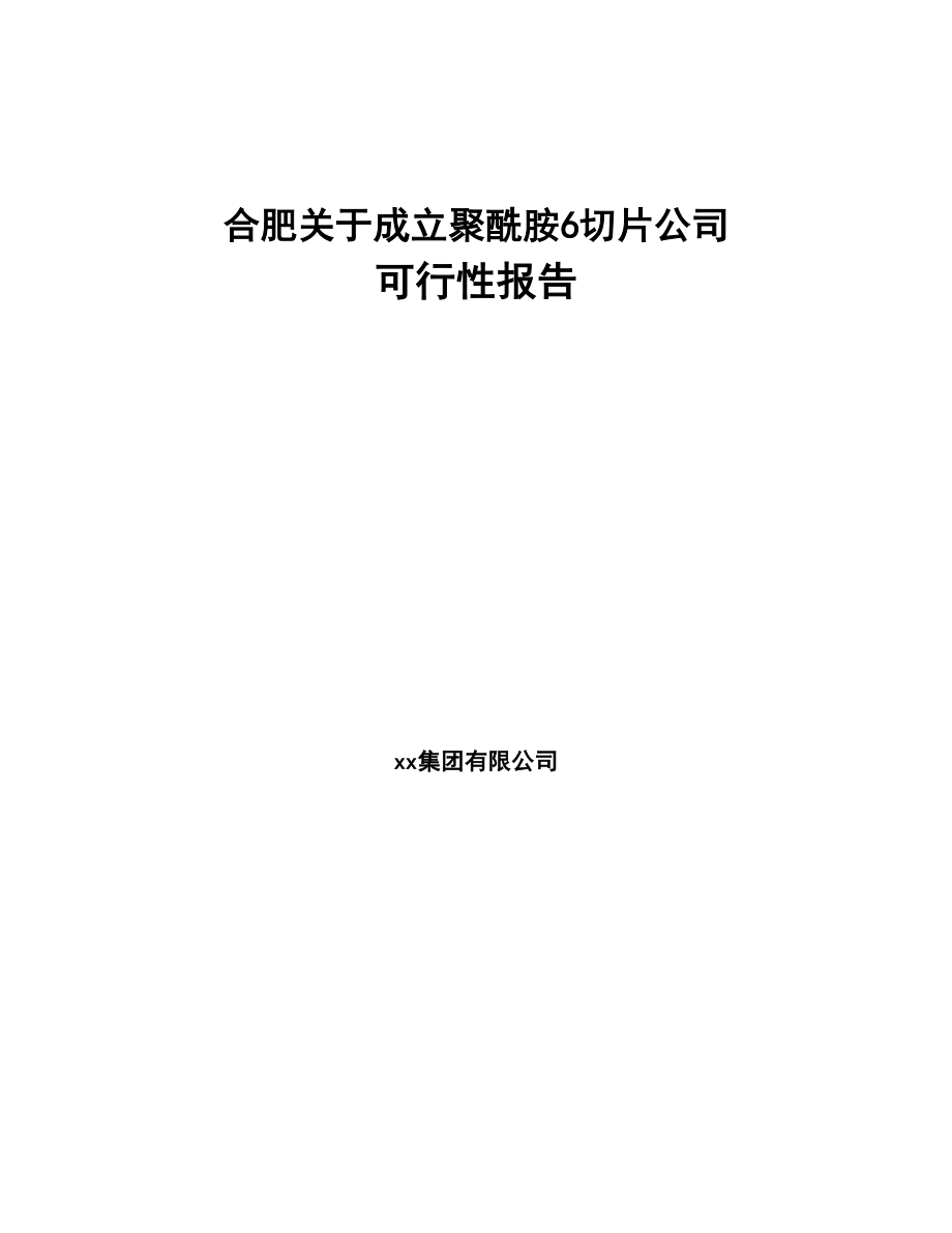 合肥关于成立聚酰胺6切片公司可行性报告(DOC 93页)_第1页