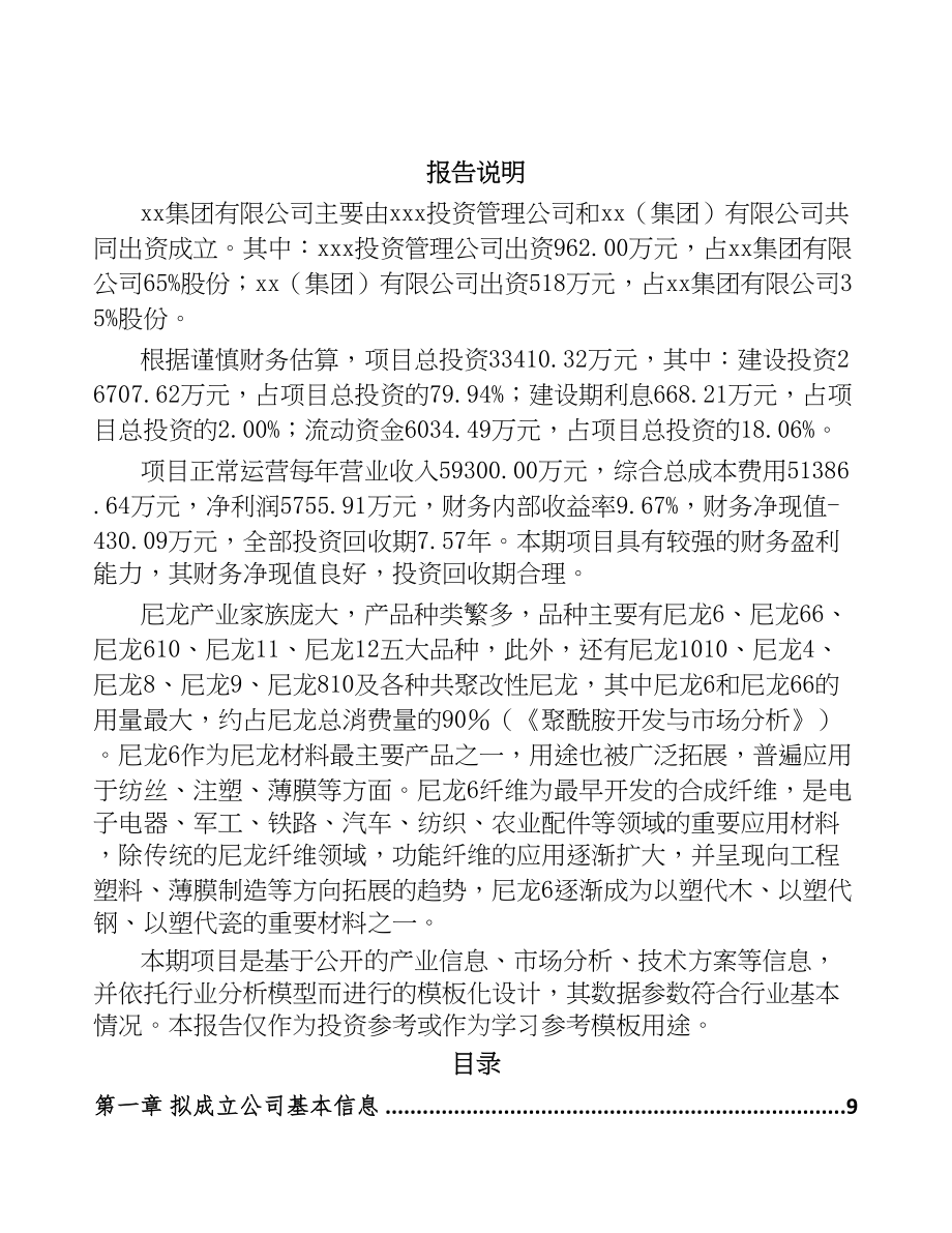 合肥关于成立聚酰胺6切片公司可行性报告(DOC 93页)_第2页