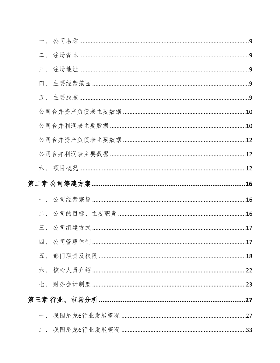 合肥关于成立聚酰胺6切片公司可行性报告(DOC 93页)_第3页