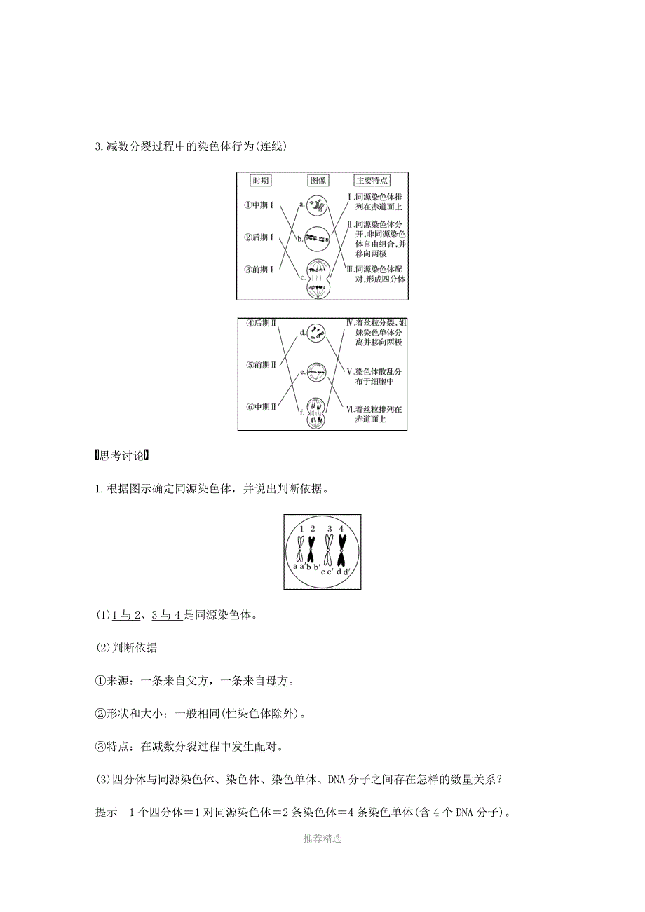 减数分裂中的染色体行为_第2页