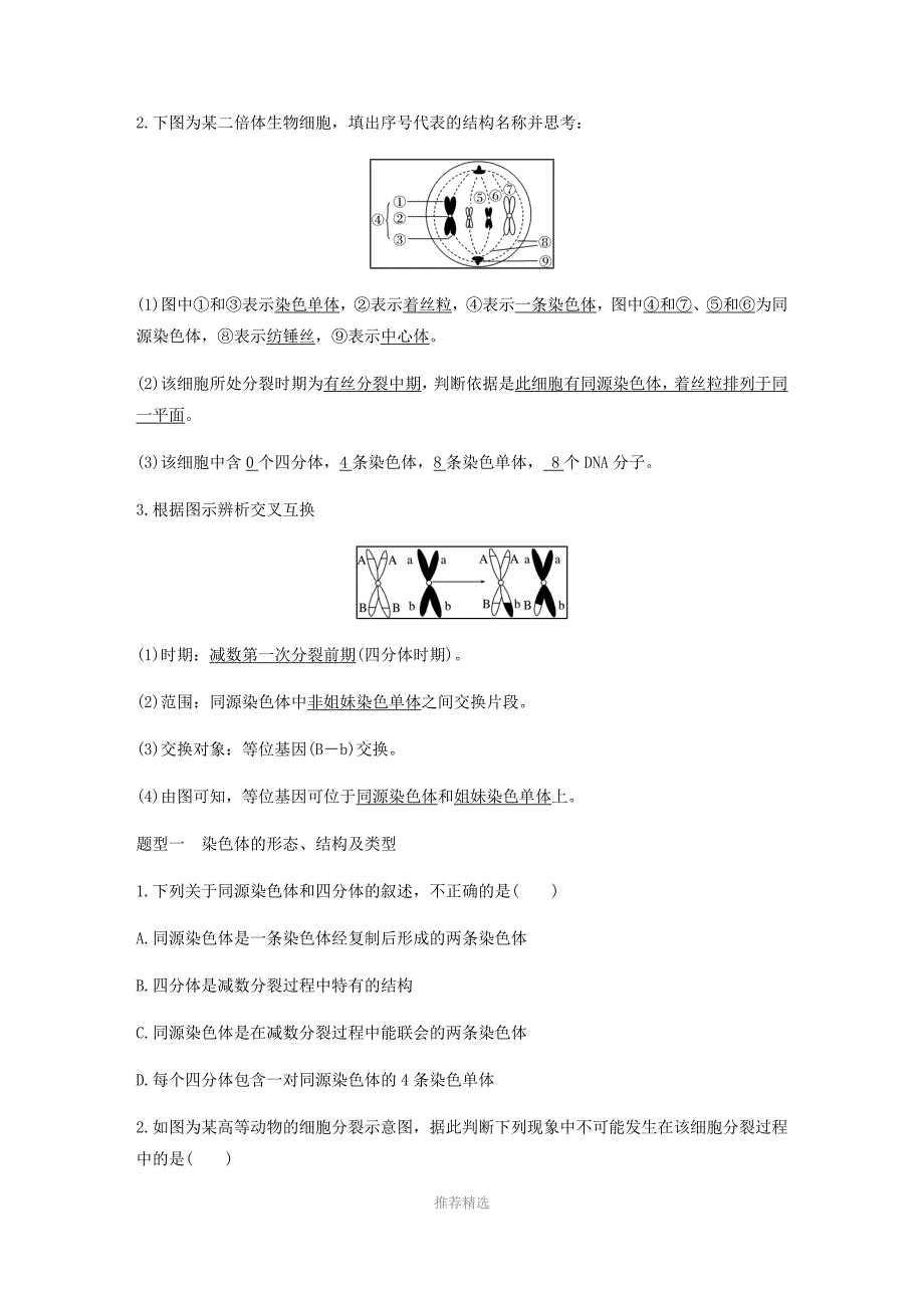 减数分裂中的染色体行为_第3页