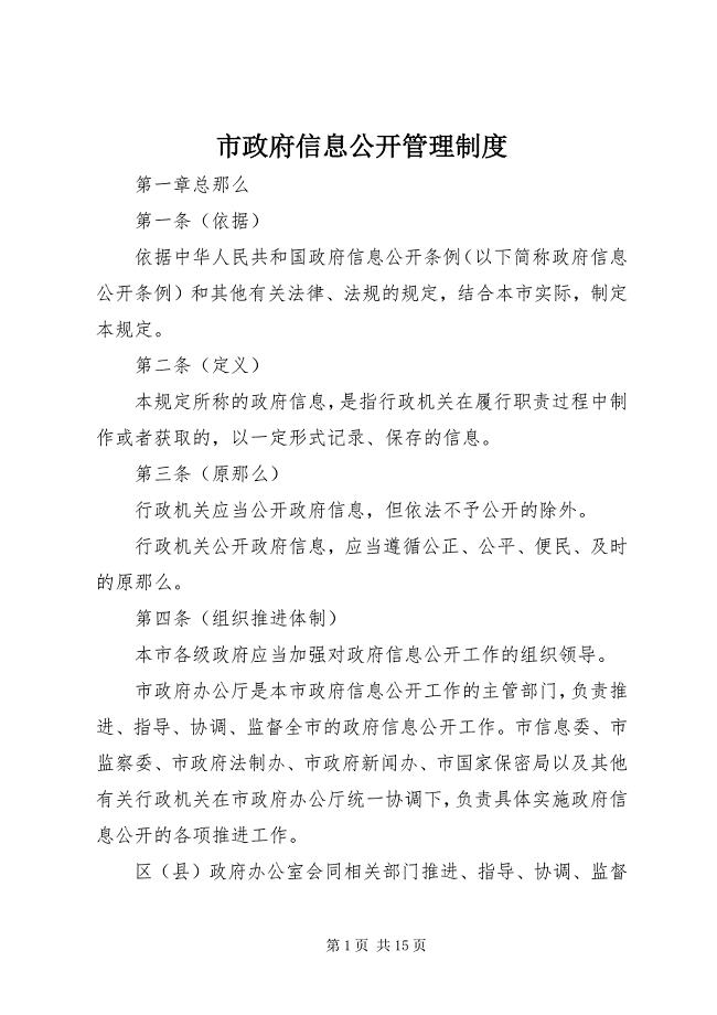 2023年市政府信息公开管理制度.docx