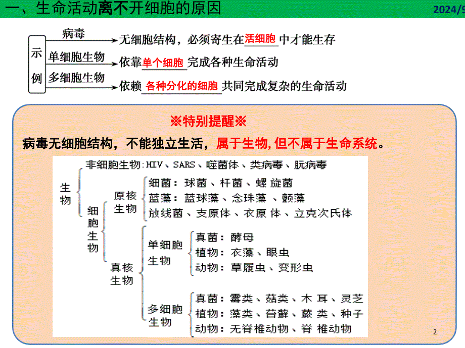 走进细胞课堂PPT_第2页