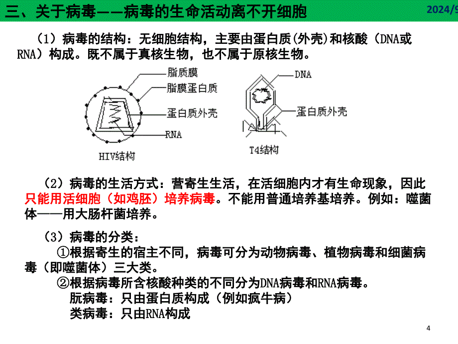 走进细胞课堂PPT_第4页