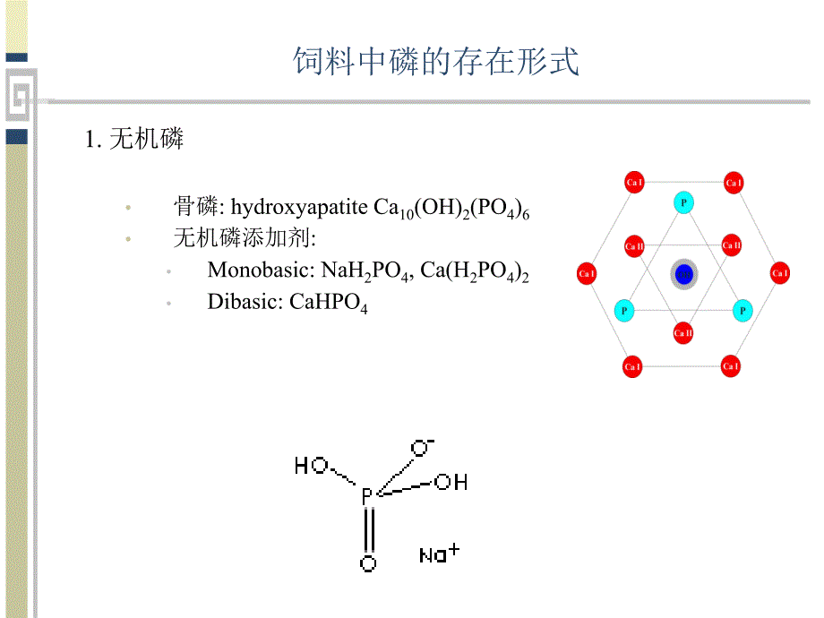 估测与提高鱼饲料中磷的消化率PPT课件_第4页