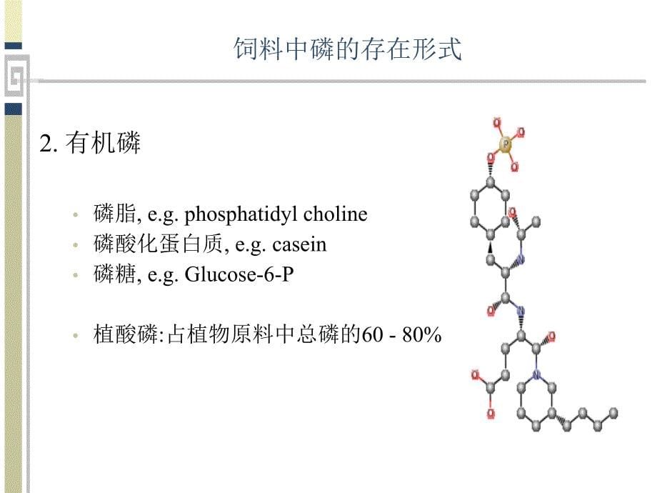 估测与提高鱼饲料中磷的消化率PPT课件_第5页