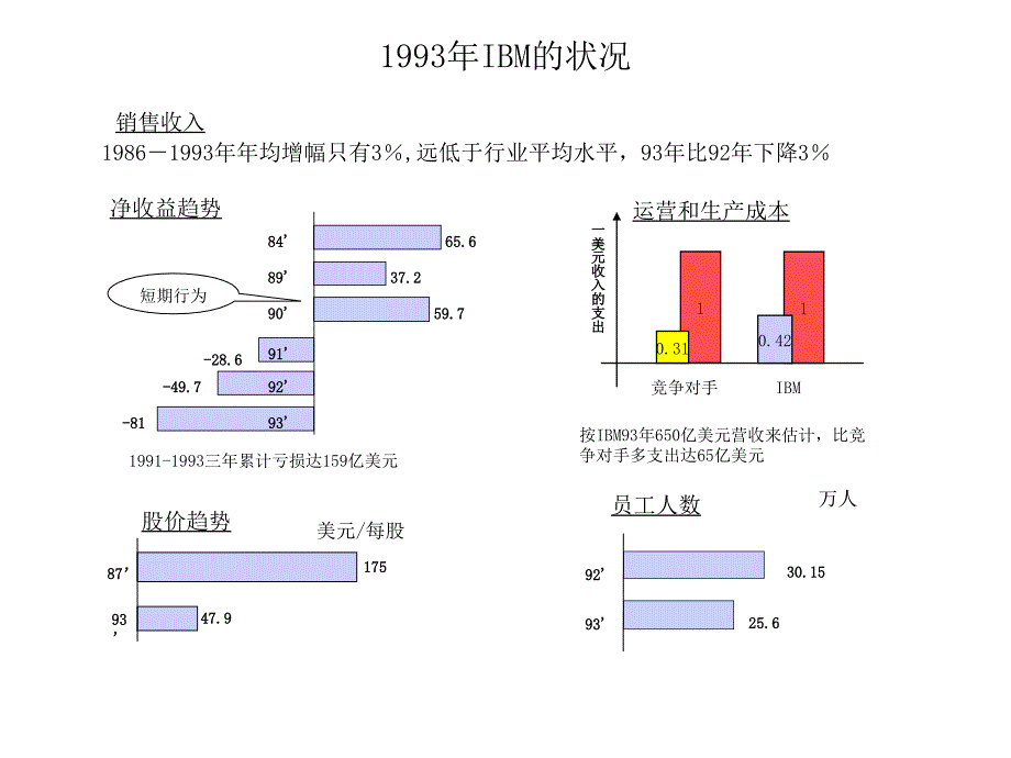 IBM战略规划（ppt33）_第2页