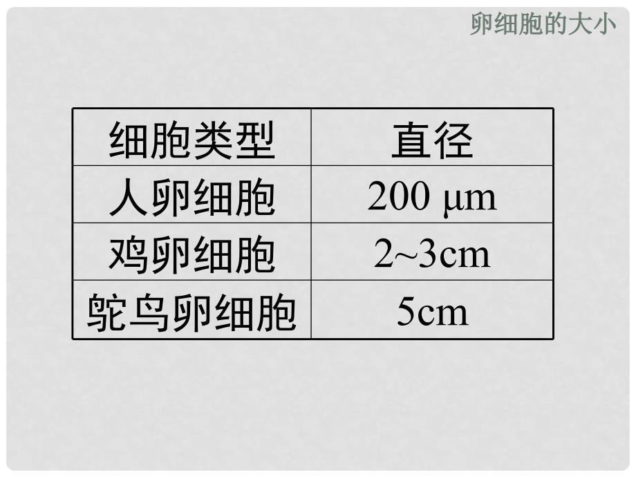 七年级生物上册 2.2.3《细胞通过分裂产生新细胞》课件（2） 人教新课标版_第2页