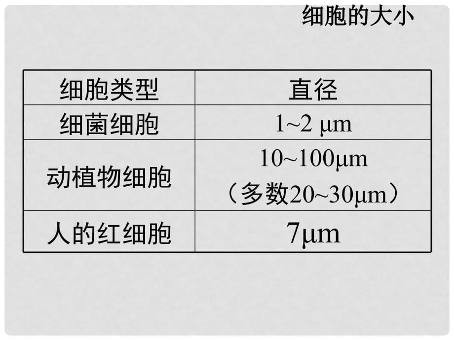 七年级生物上册 2.2.3《细胞通过分裂产生新细胞》课件（2） 人教新课标版_第5页