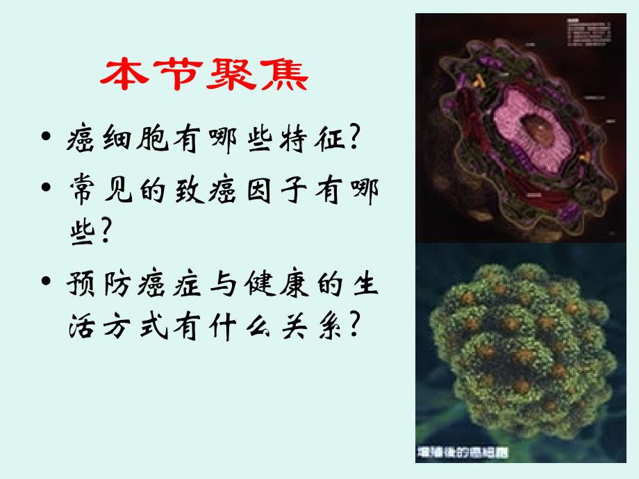 细胞的癌变.ppt_第4页