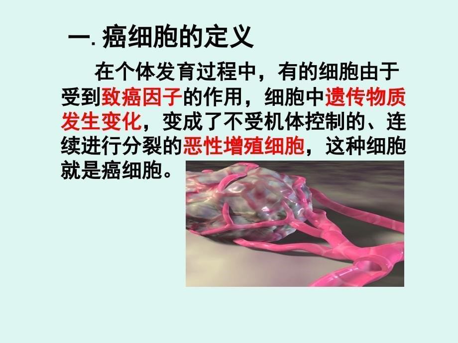 细胞的癌变.ppt_第5页