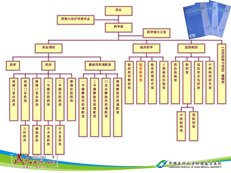 ICU临床药师工作简介和经验总结.ppt_第3页