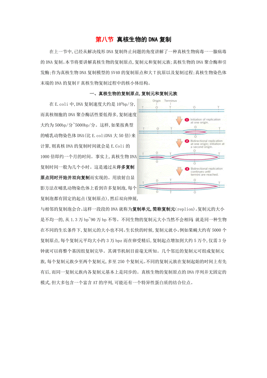 真核生物DNA的复制.doc_第1页