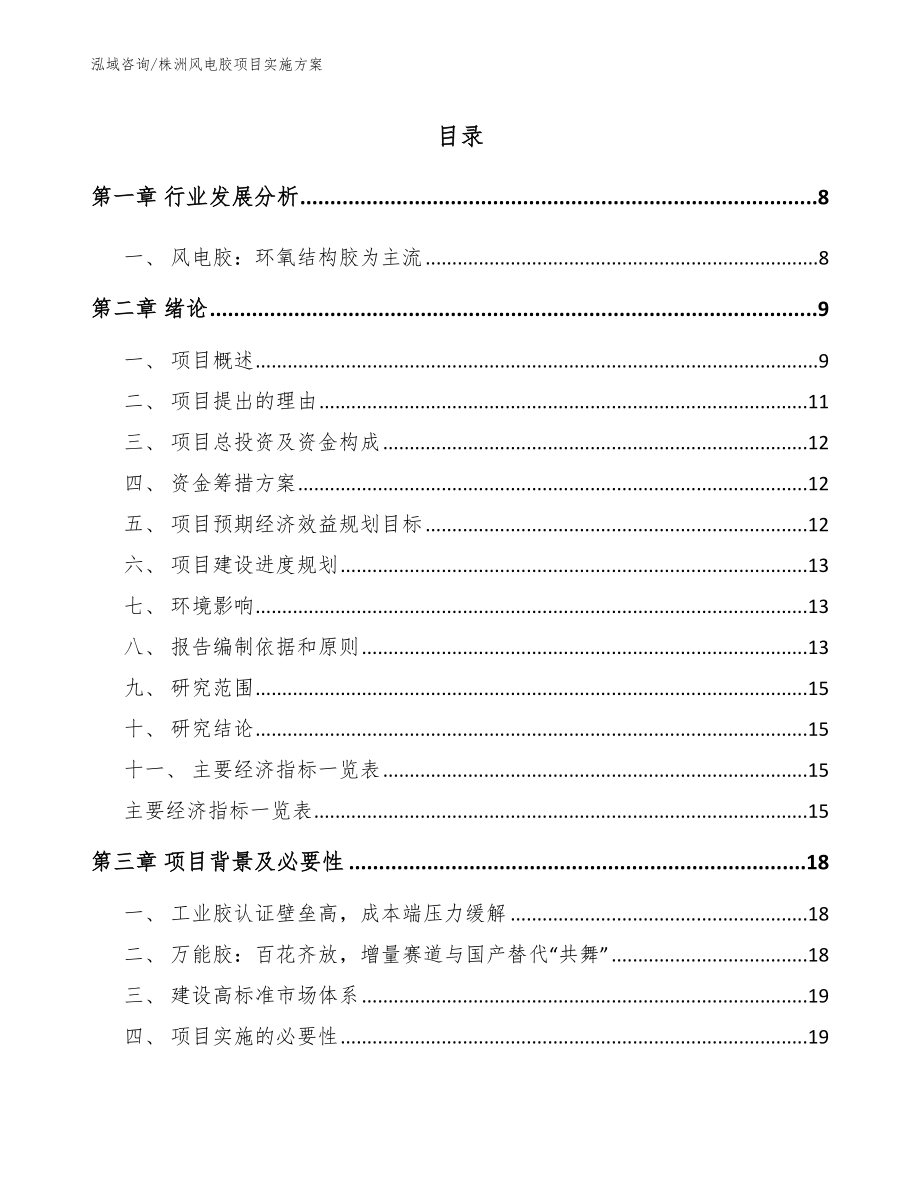 株洲风电胶项目实施方案【范文模板】_第2页