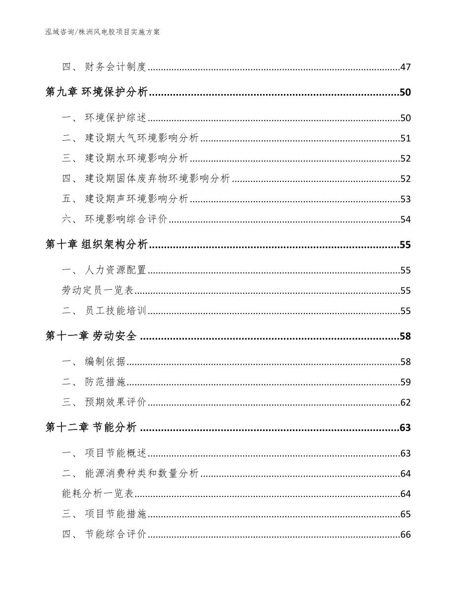 株洲风电胶项目实施方案【范文模板】_第4页