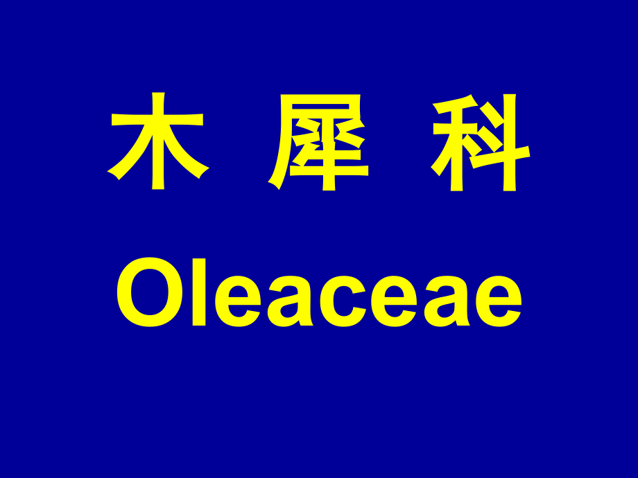木犀科夹竹桃科萝摩科马鞭草科_第1页