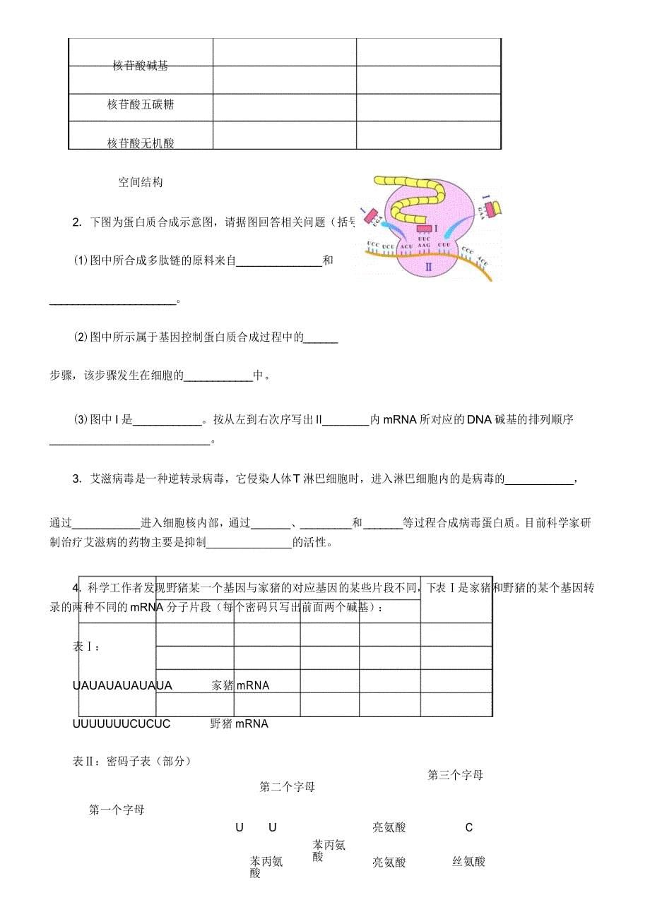 高中生物_必修二_基因的表达测试题及答案_第5页