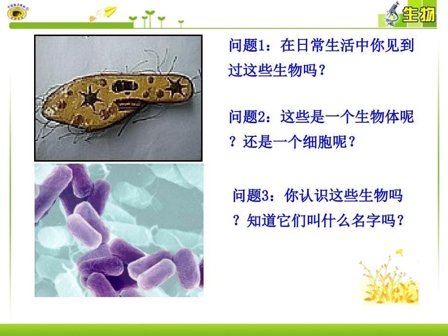 第四节单细胞生物_第5页