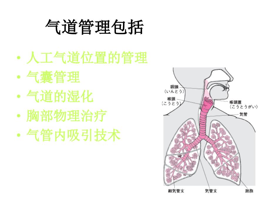 危重病人气道管理教学文案_第3页