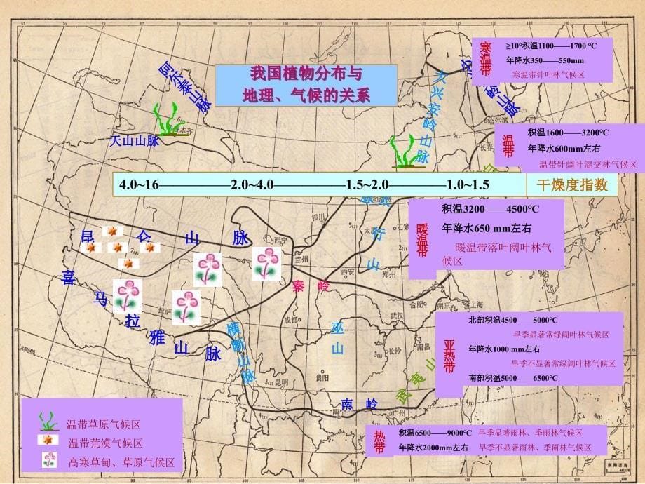 植物类群划分-分布-孢子植物_第5页