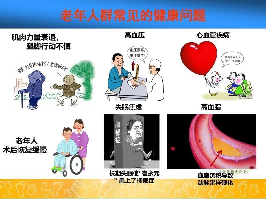 小分子蛋白肽15712曰ppt课件_第5页