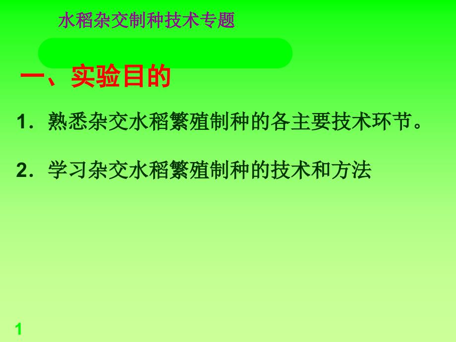 ex水稻制种技术PPT演示文稿_第1页