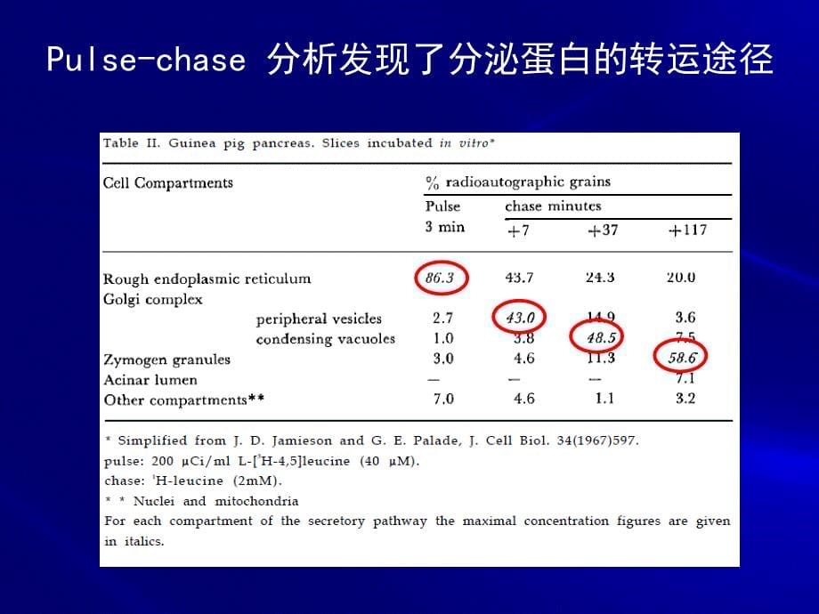 细胞生物学第五章-细胞内膜系统与囊泡转运课件_第5页