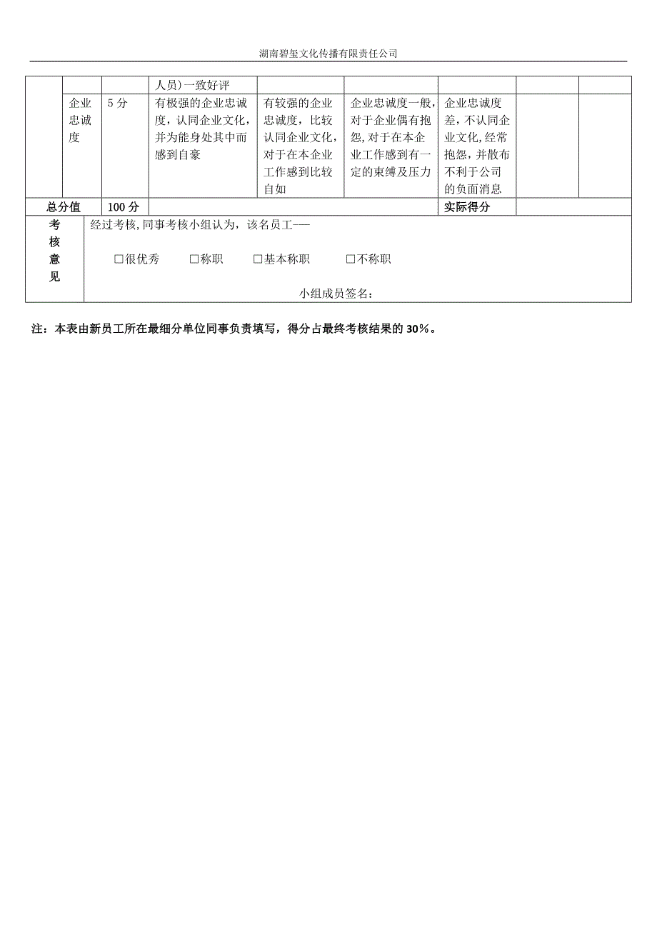 新员工试用期考核表_第4页