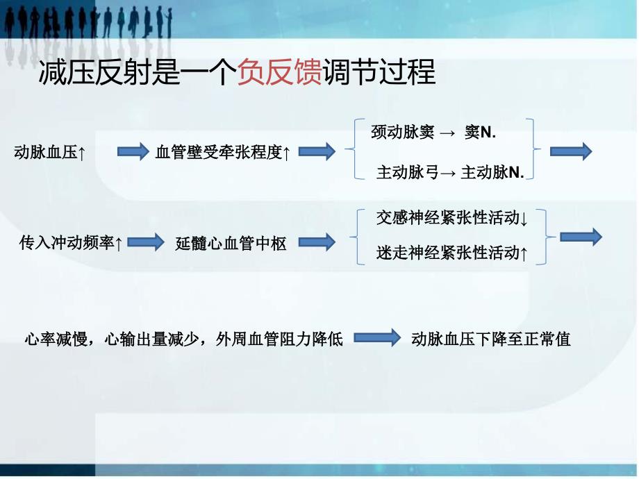 减压神经放电PPT课件_第4页