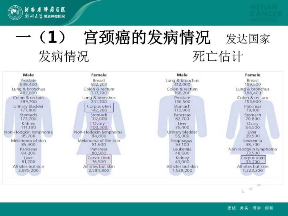 宫颈癌指南精选文档_第3页