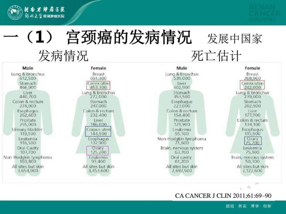 宫颈癌指南精选文档_第4页