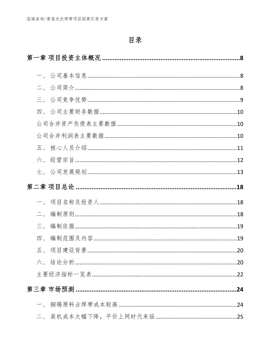 娄底光伏焊带项目招商引资方案（范文模板）_第1页