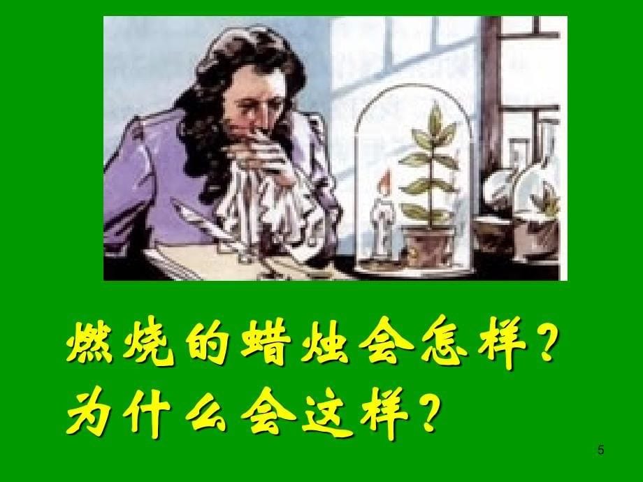 绿色植物与生物圈中_第5页