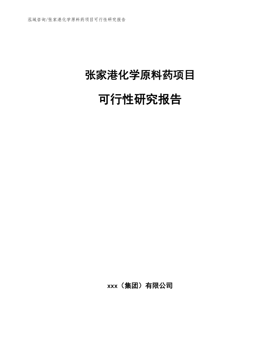 张家港化学原料药项目可行性研究报告_参考范文_第1页