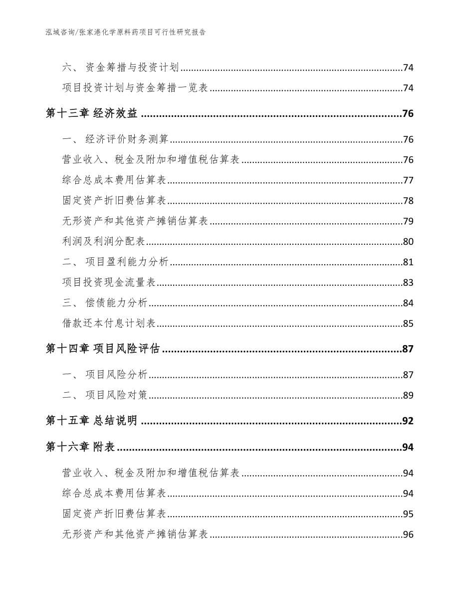 张家港化学原料药项目可行性研究报告_参考范文_第5页