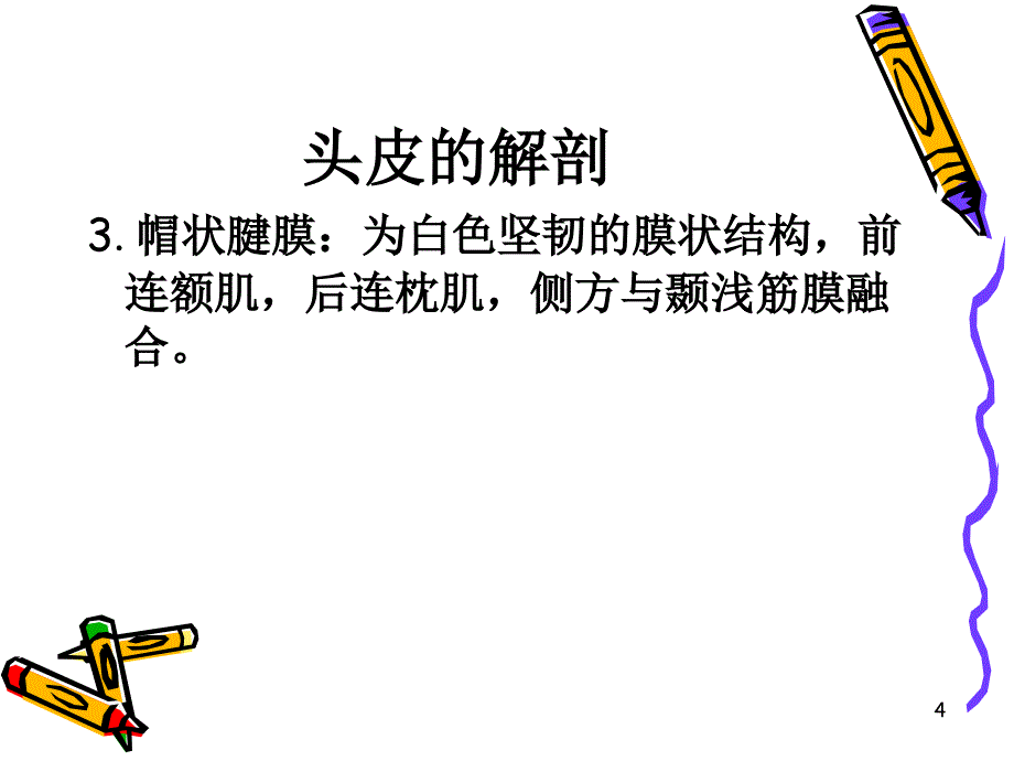 神经外科解剖ppt课件_第4页