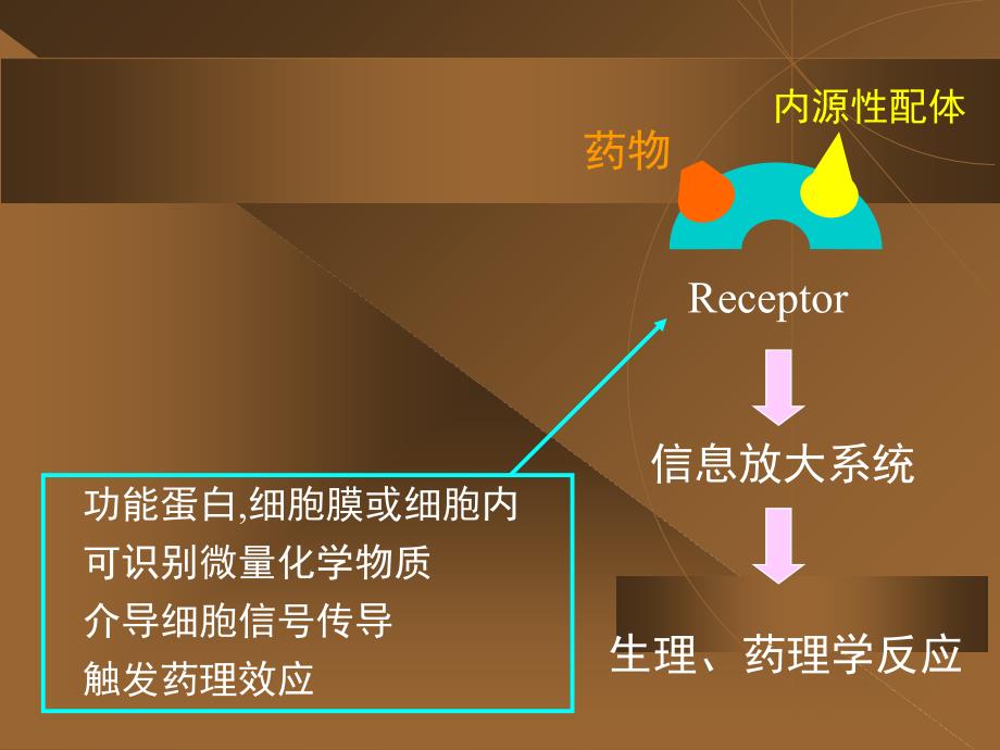 1药理学总论2PPT课件_第1页