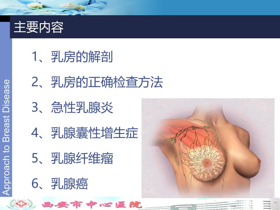 乳腺癌及乳腺癌手术配合课件_第3页