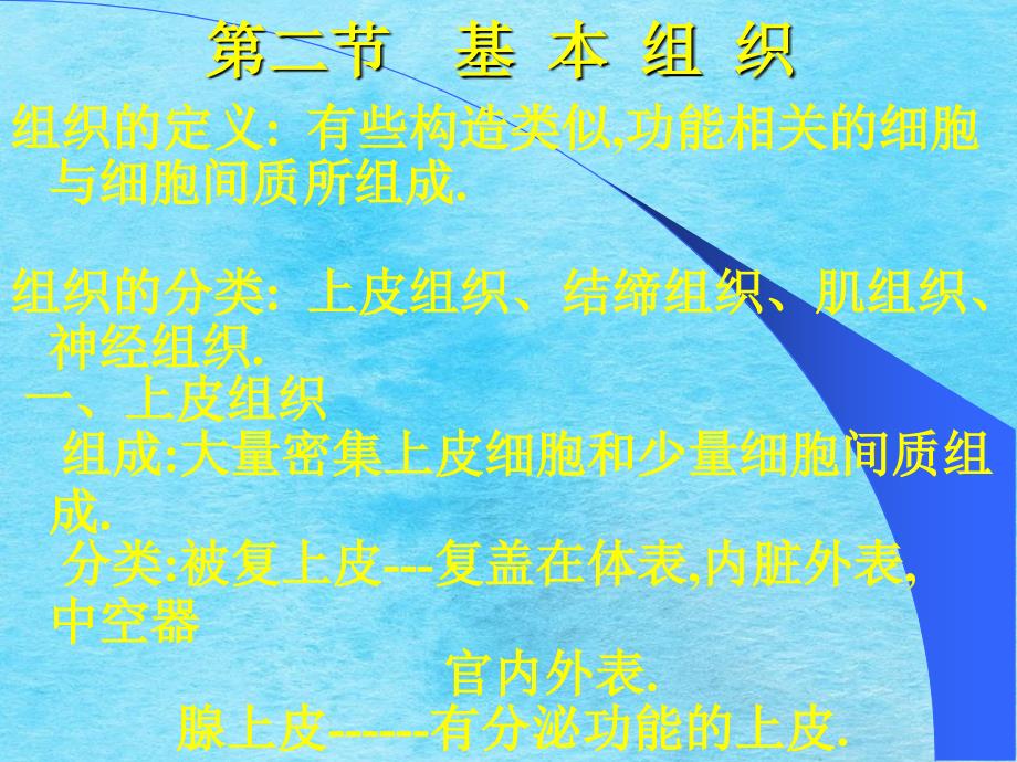 人体各主要部分的解剖基本组织ppt课件_第1页
