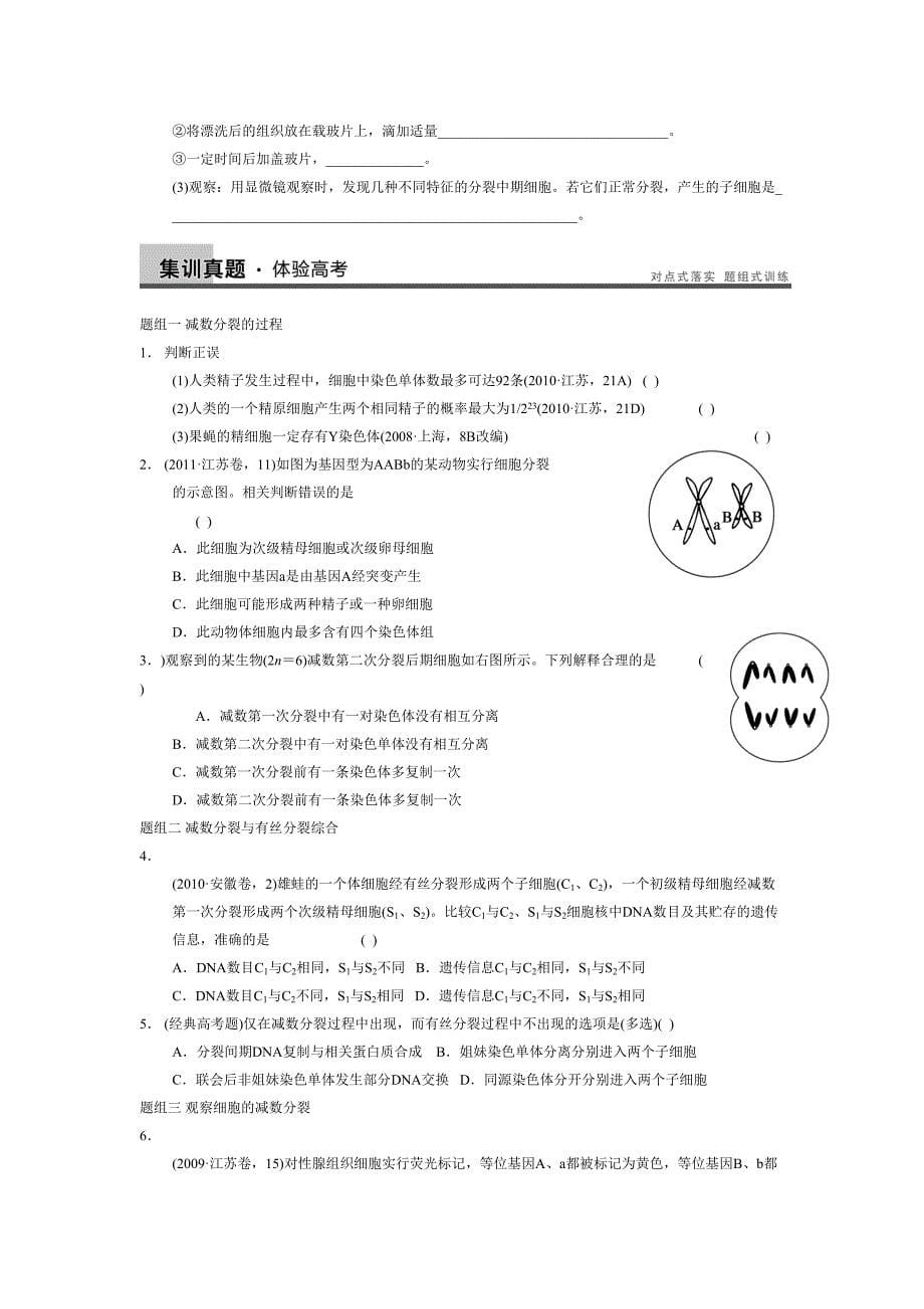 有丝分裂和减数分裂试题(DOC 9页)_第5页